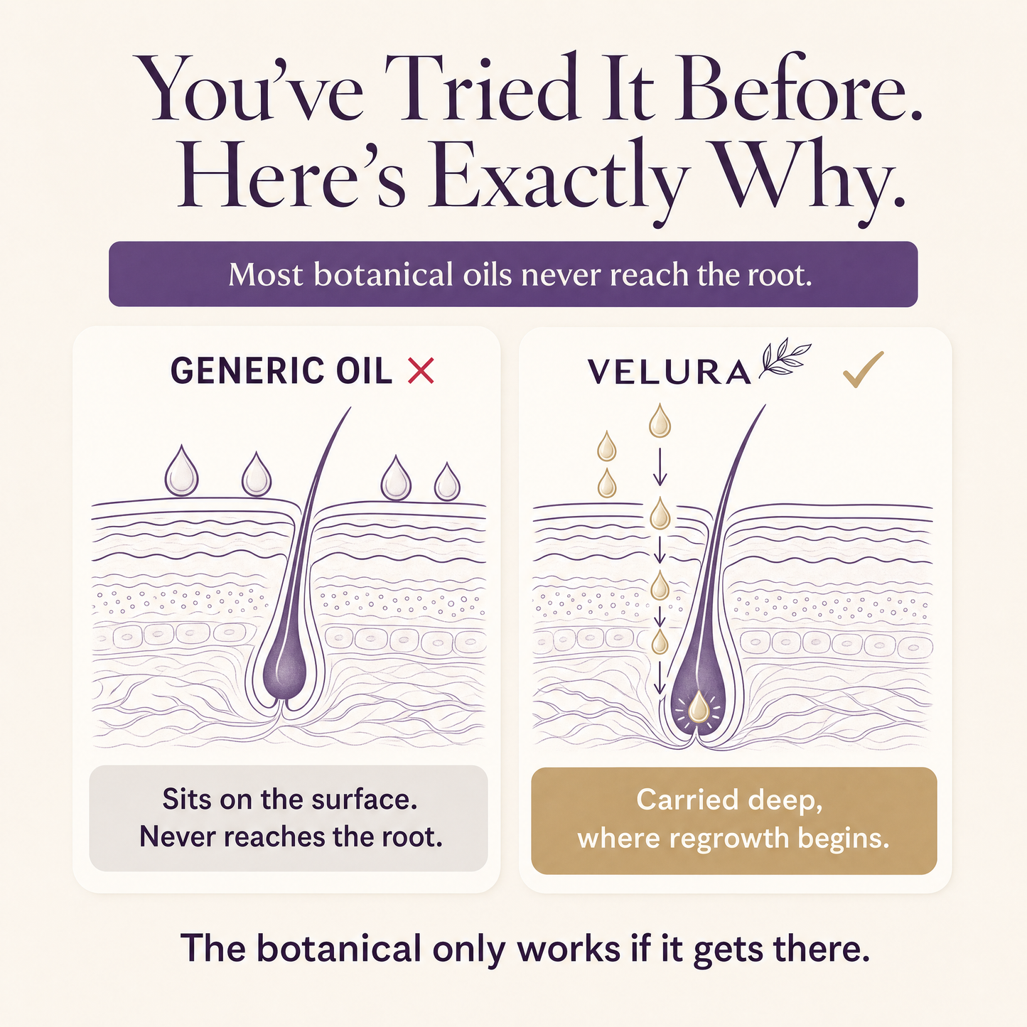 Velura Skin Ritual — Cyperus Rotundus Botanical Oil